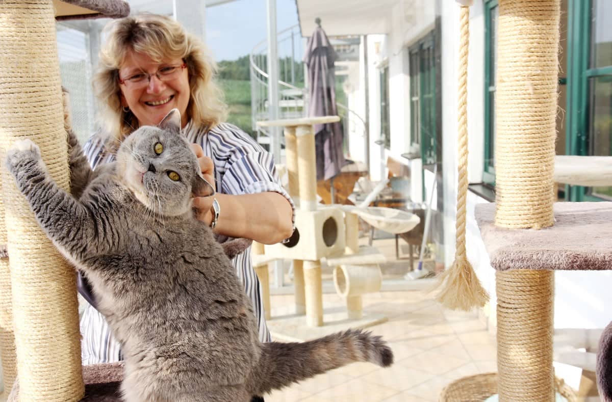 Katze auf dem Arm einer Betreuerin