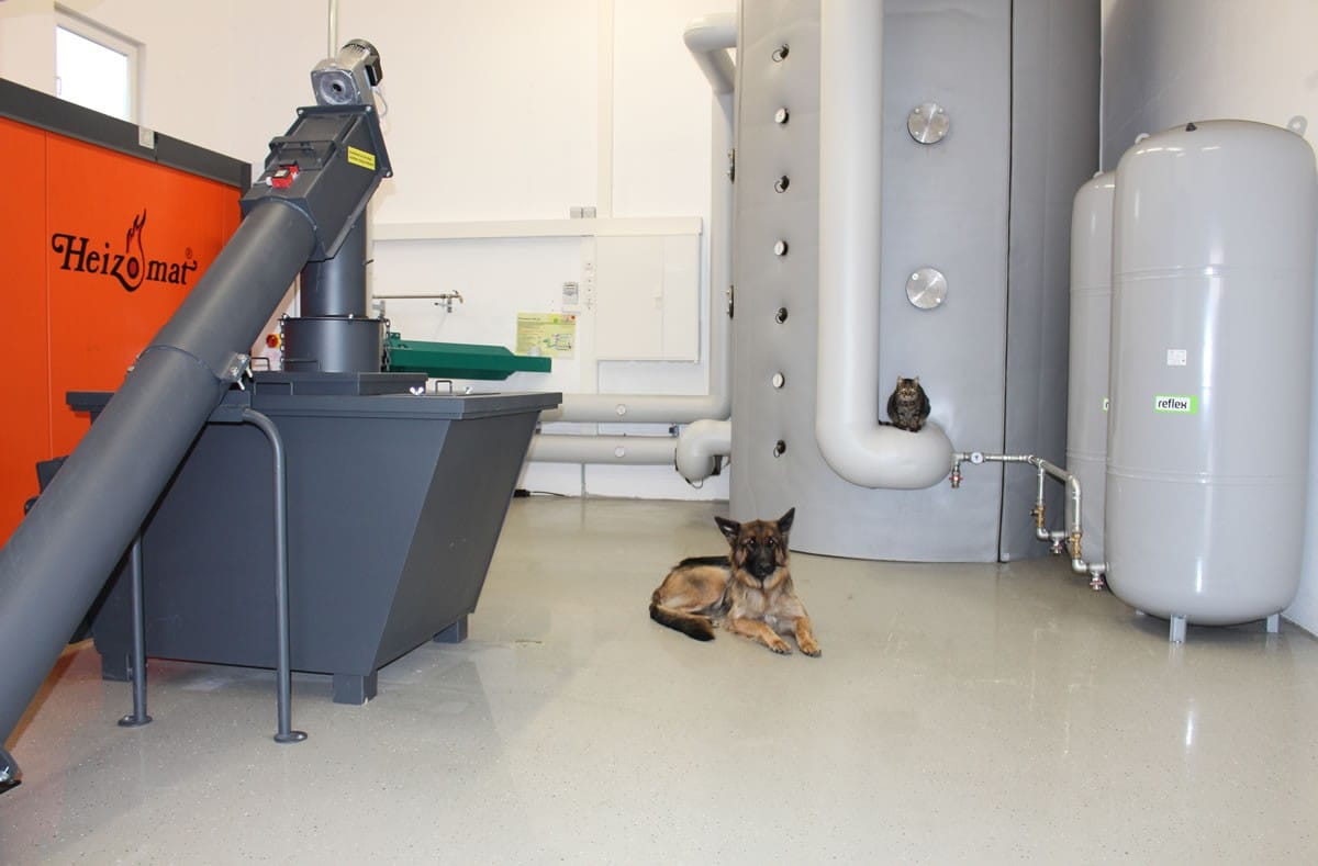 Ein Hund liegt entspannt vor der Hackschnitzelheizung im eigenen Heizhaus