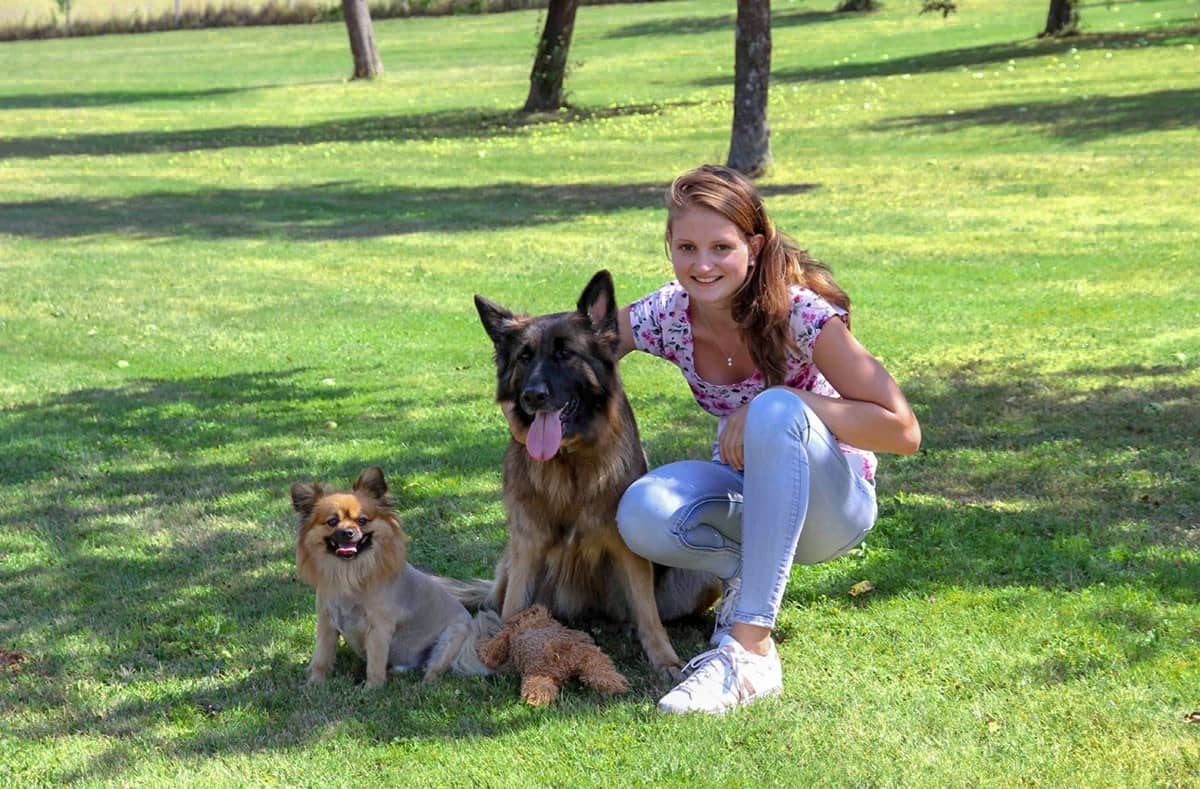 Betreuerin mit drei Hunden auf der Wiese des Freigeländes