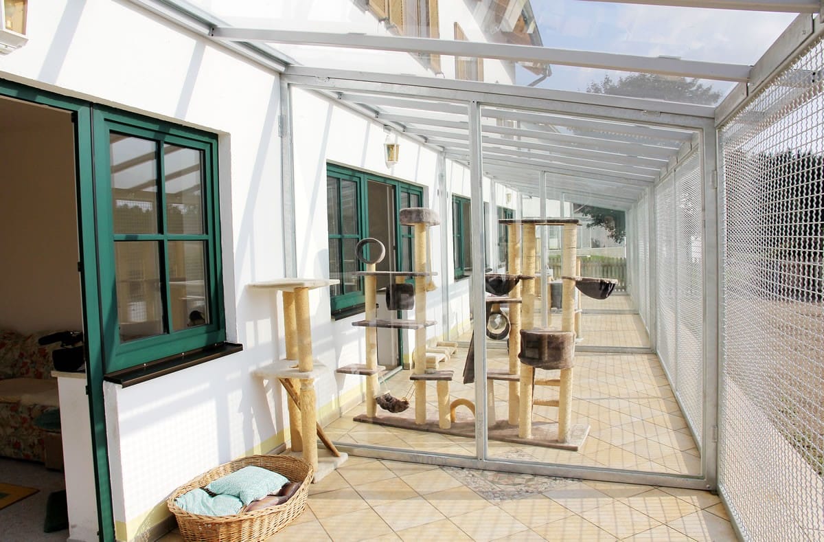 Verglaster Wintergarten mit Kratzbäumen und Blick ins Grüne