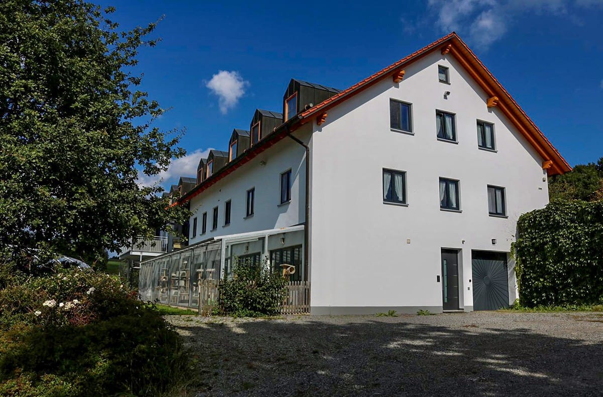 Die Terrasse des Katzenhauses mit Blick auf das Grün des Hofes